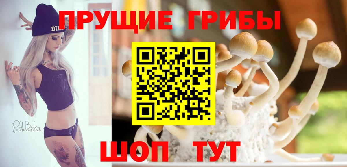 Галлюциногенные грибы MAGIC MUSHROOMS  Вход с VPN  Галлюциногенные грибы прущие грибы  Камышлов 